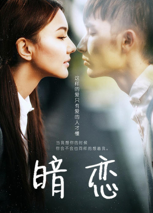 加尔达湖畔音乐学院学士毕业证